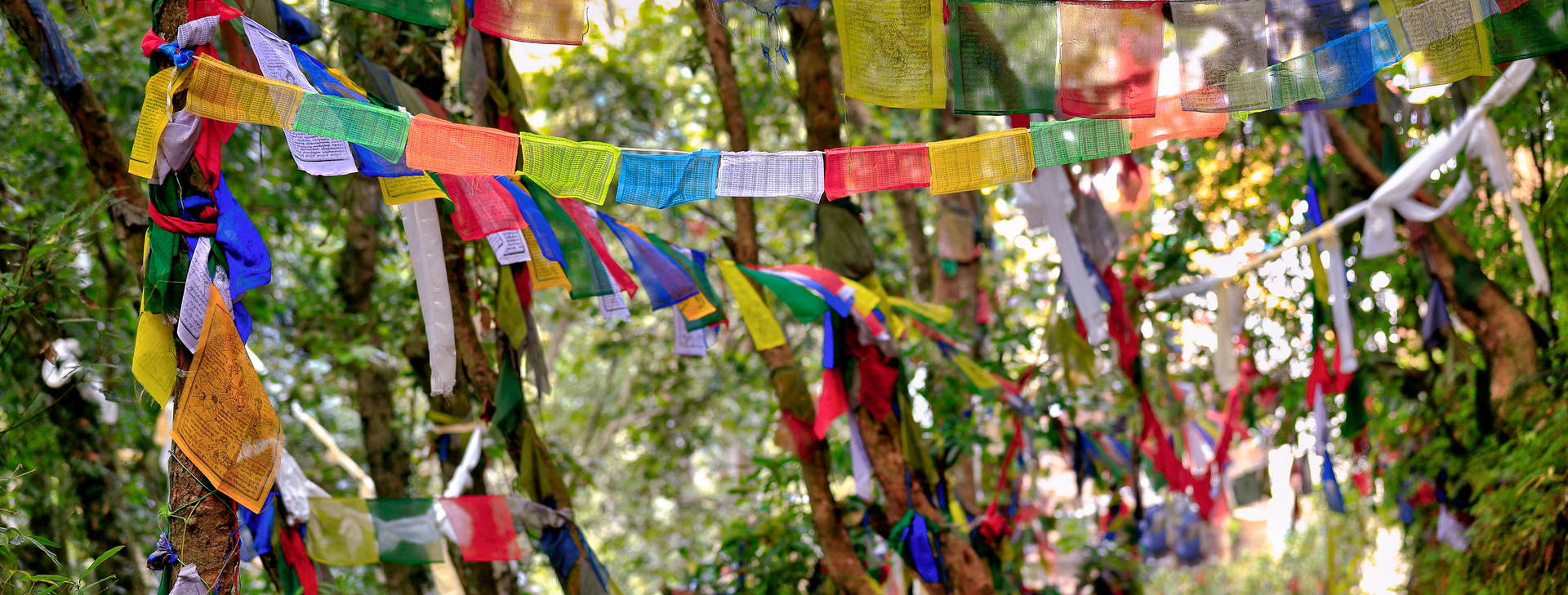 Ubytování IND Obrázek17