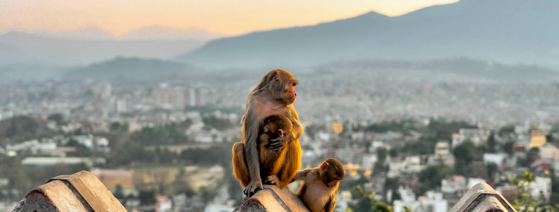 Ubytování IND Obrázek30