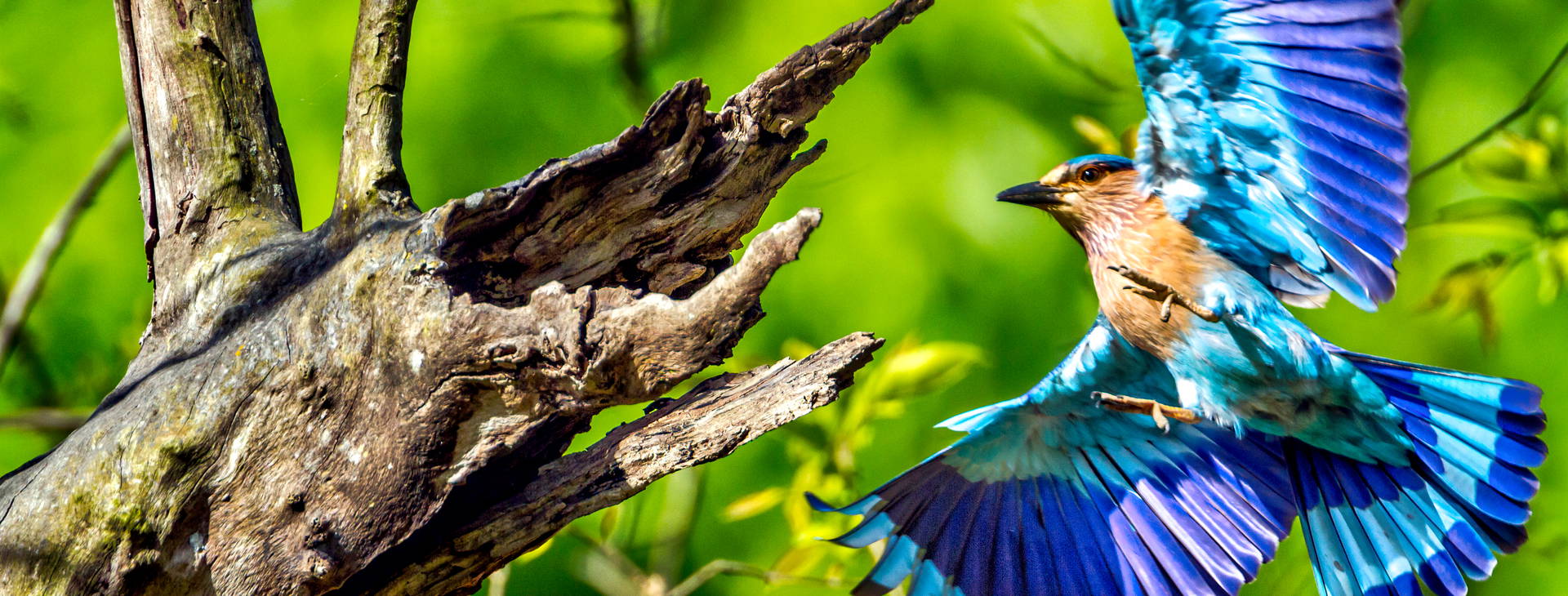 Ubytování IND Obrázek49