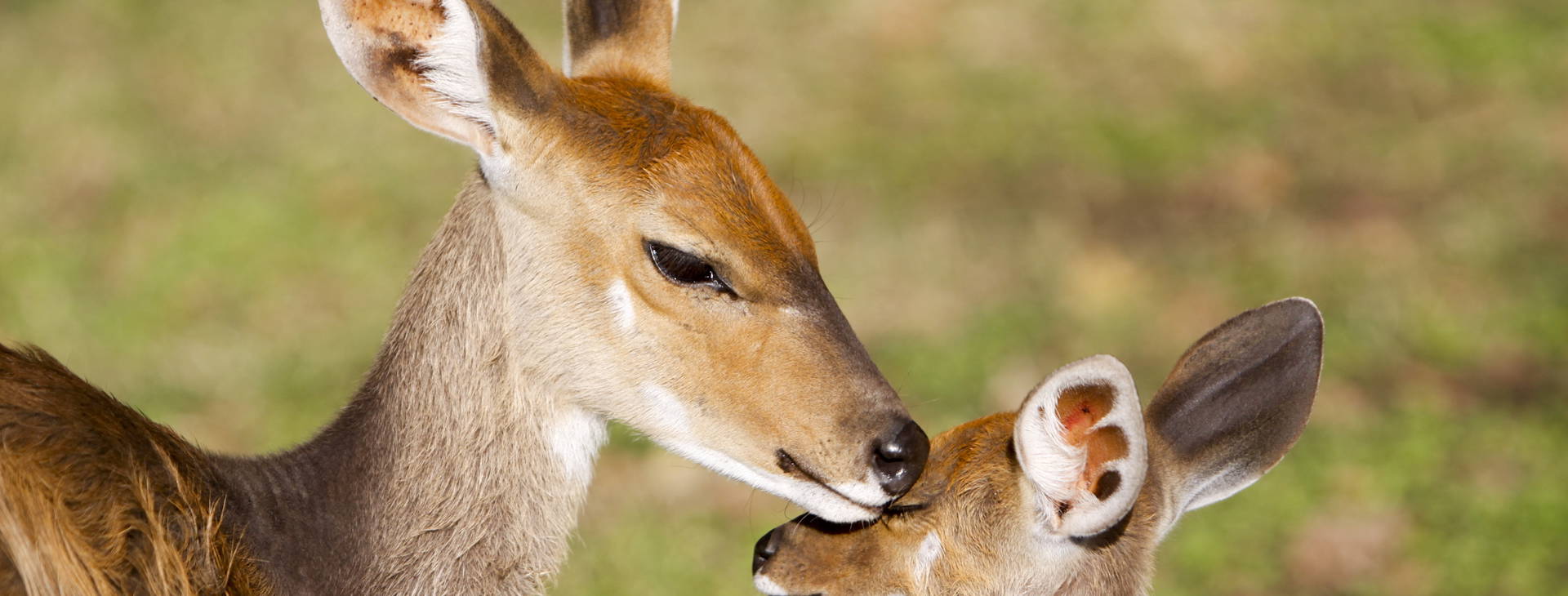 Ubytování GHA Obrázek5