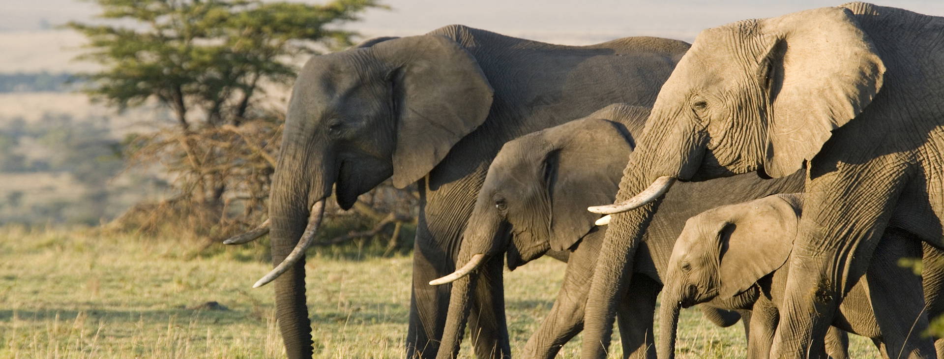 Ubytování GHA Obrázek11