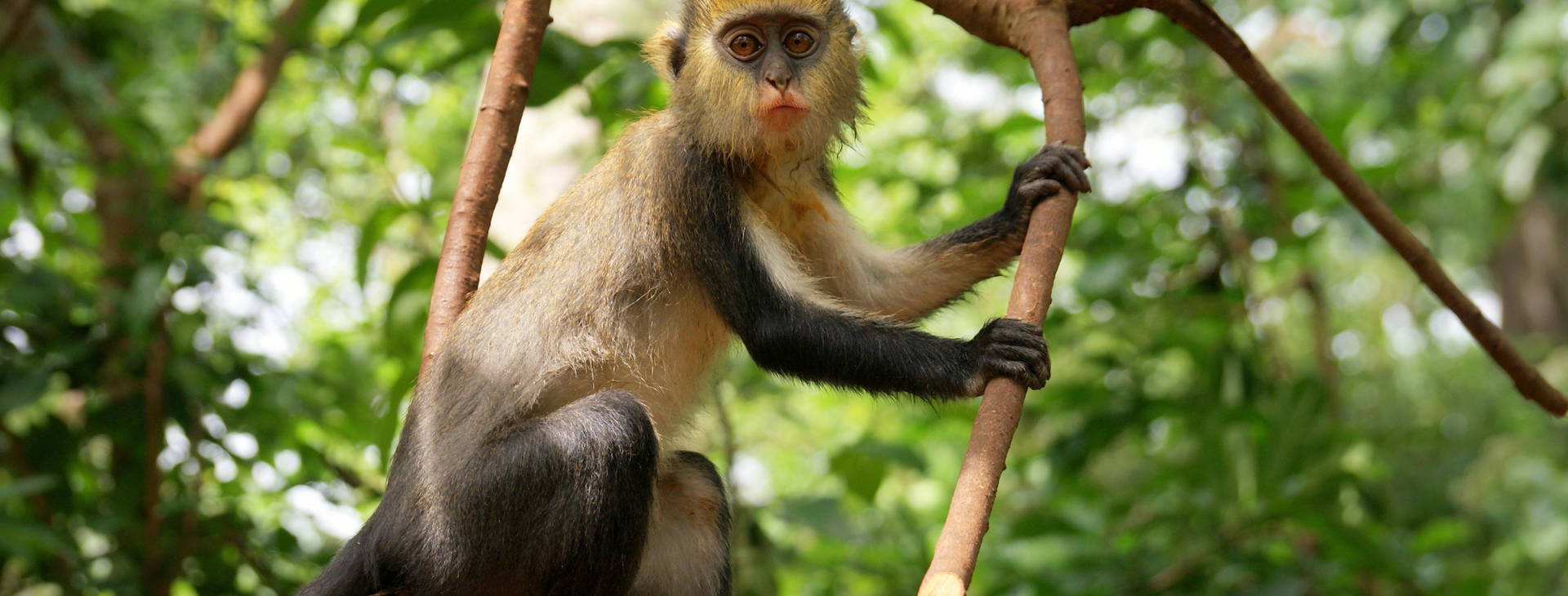 Ubytování GHA Obrázek0