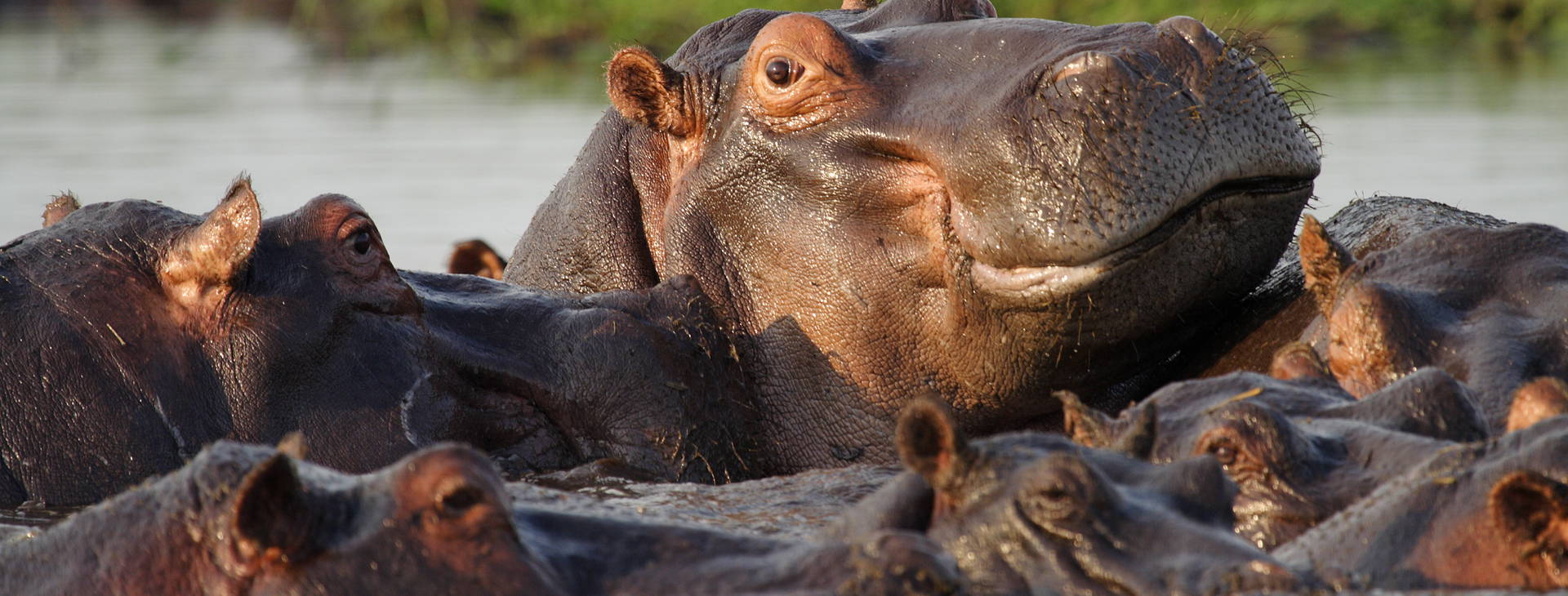 Ubytování RPG Obrázek2