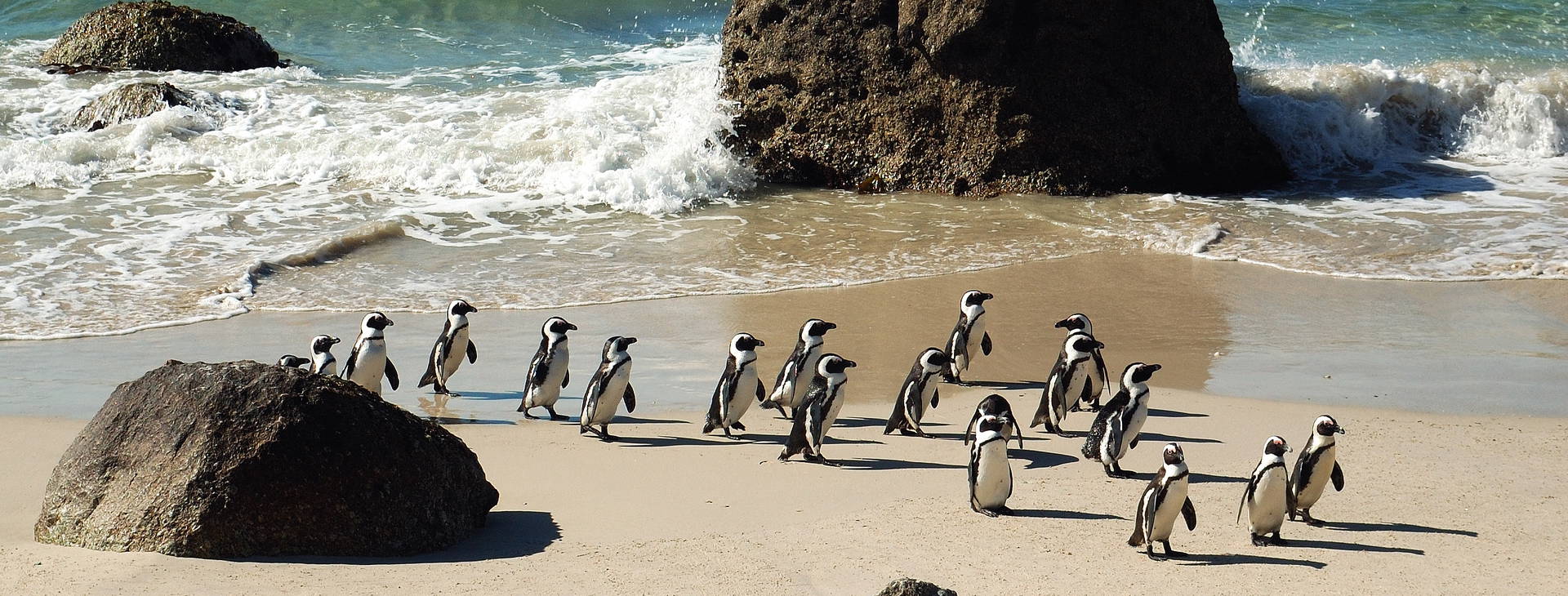 Ubytování RPG Obrázek4