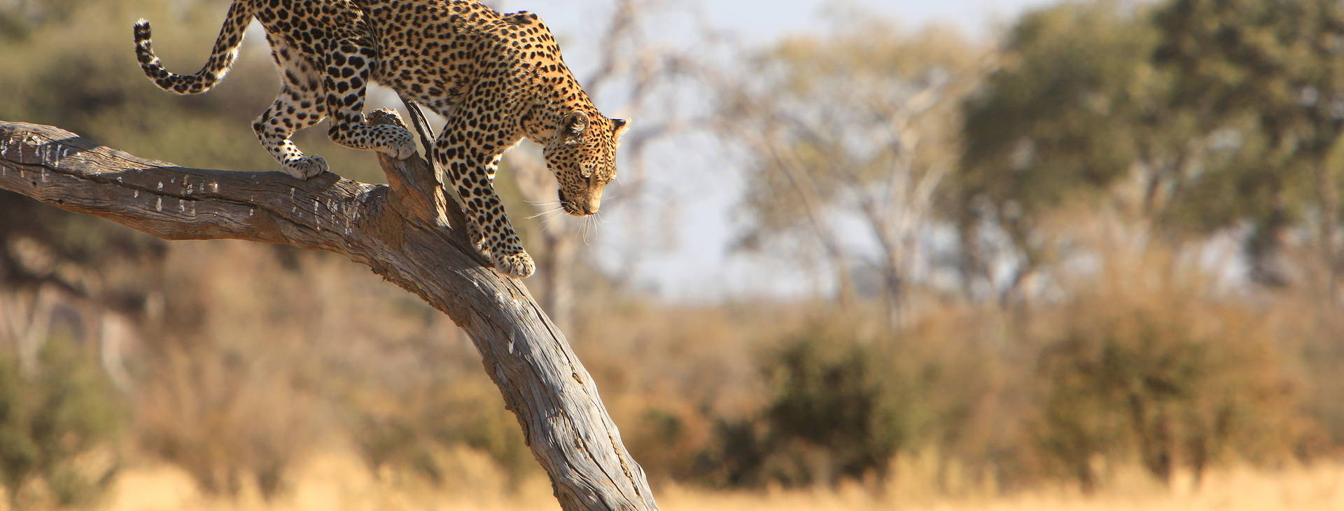 Ubytování RPG Obrázek8