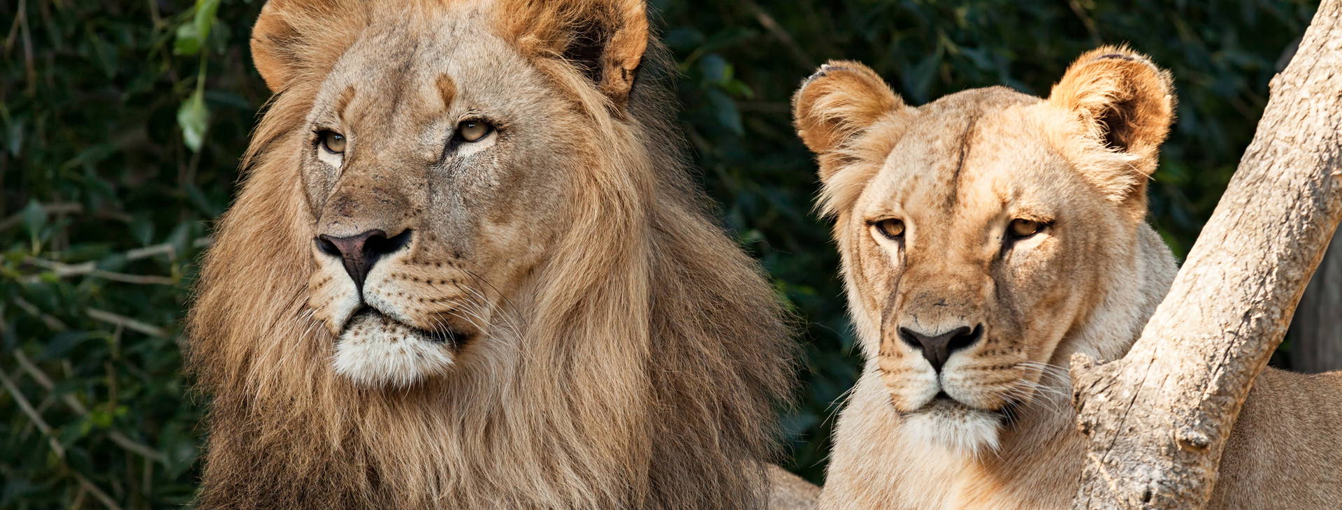 Ubytování RPG Obrázek13