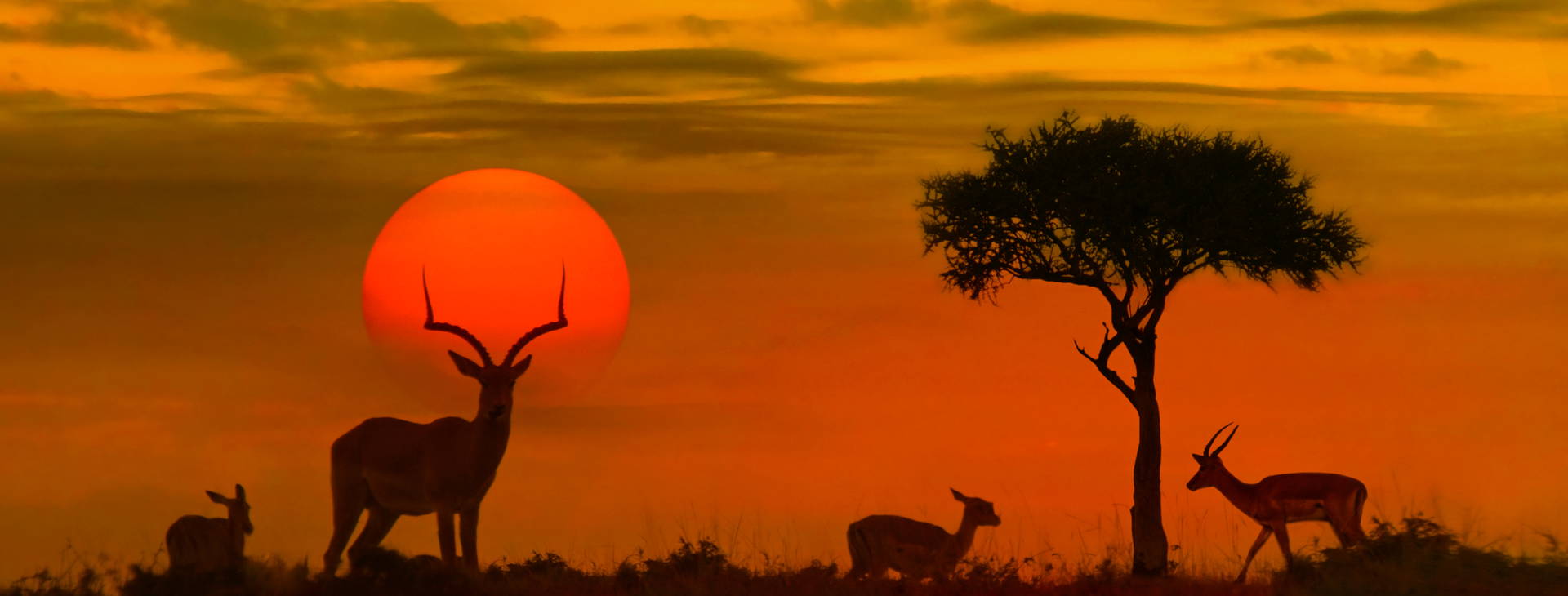 Ubytování RPG Obrázek7