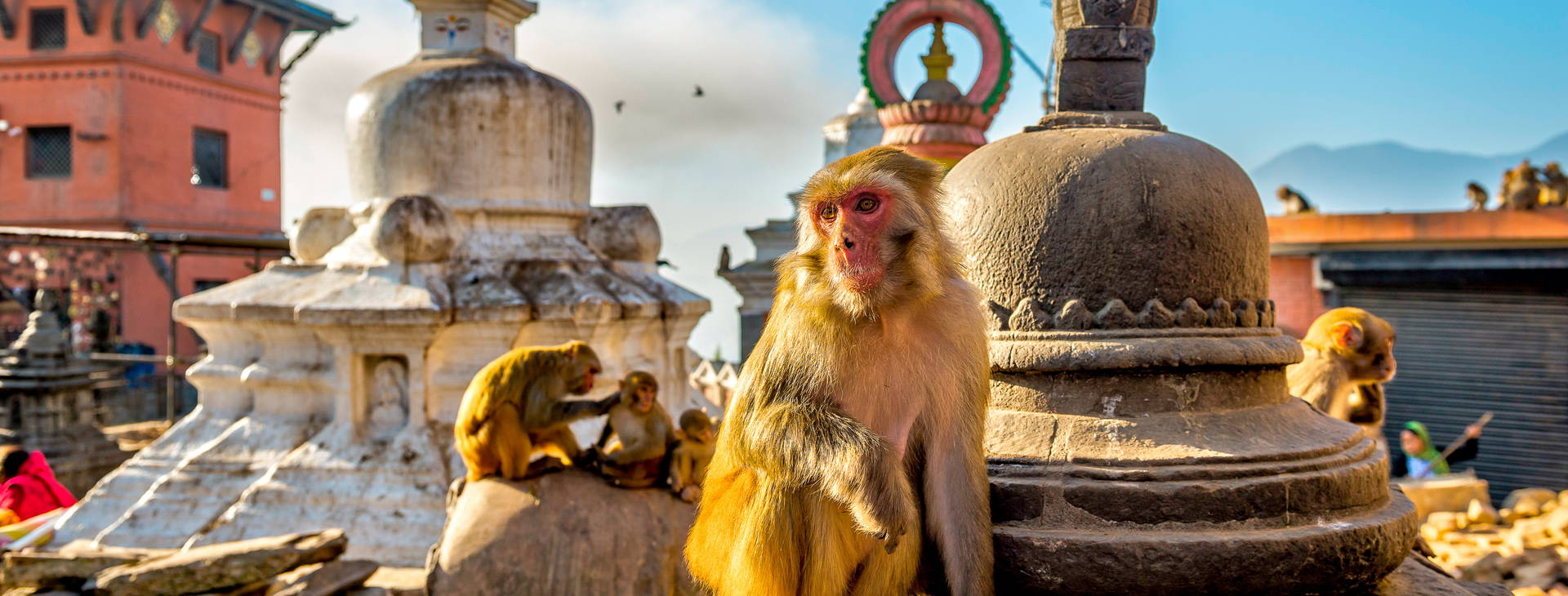 Ubytování INB Obrázek6