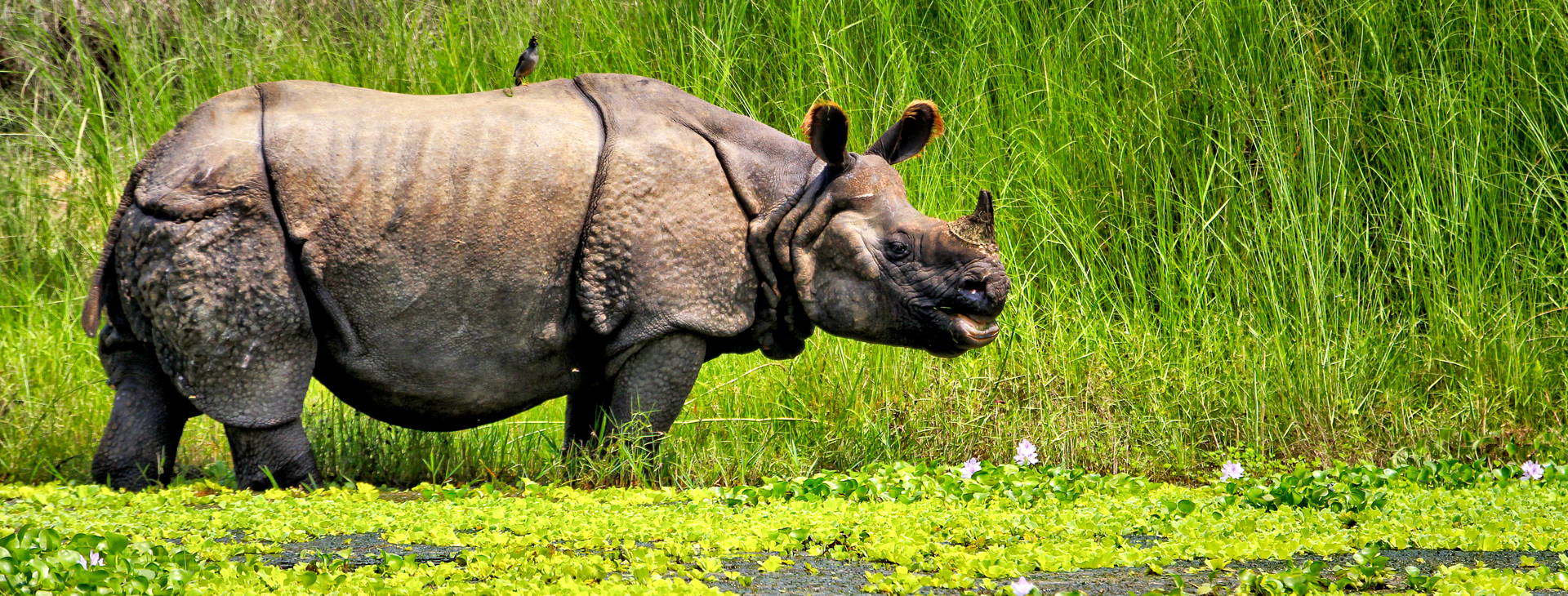 Ubytování INB Obrázek24