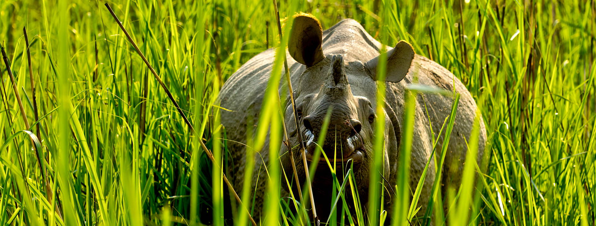 Ubytování INB Obrázek9