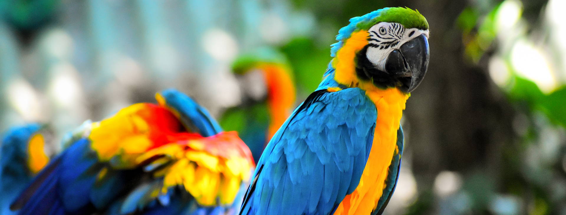 Ubytování KML Obrázek2