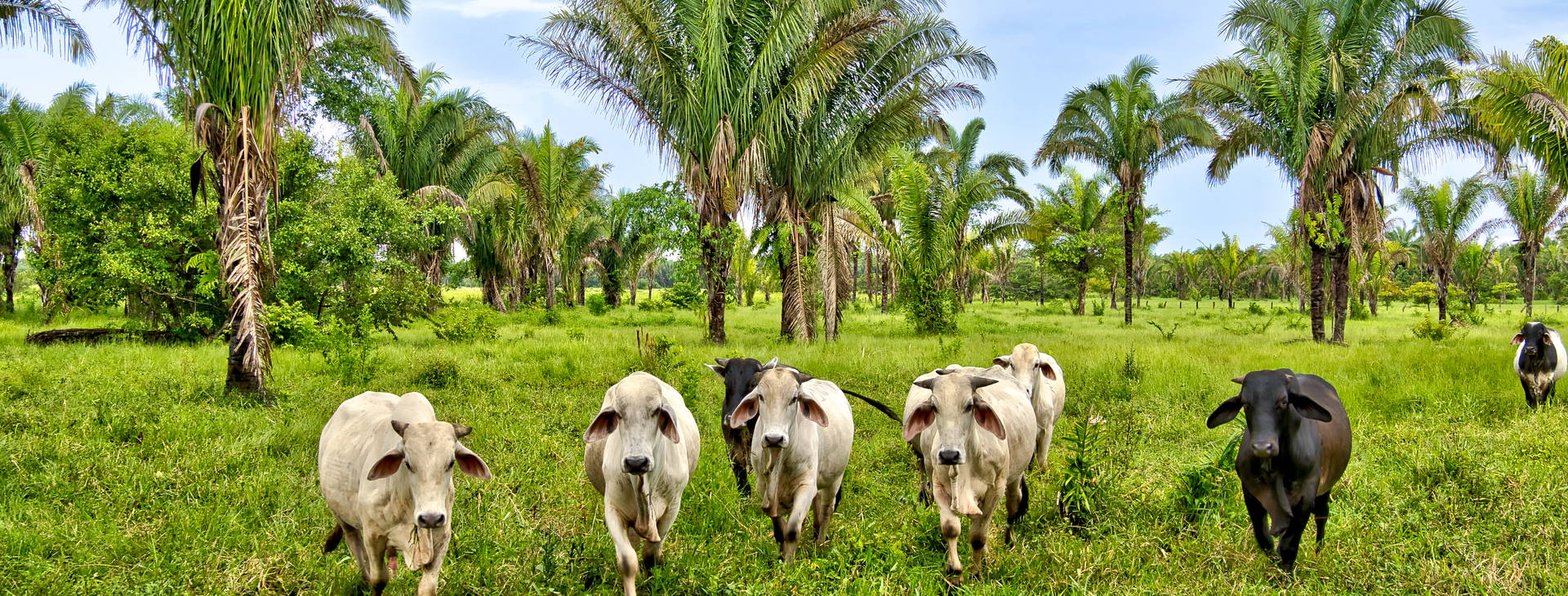 Ubytování KML Obrázek16