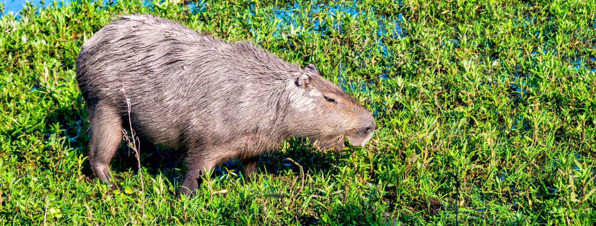Ubytování KML Obrázek11