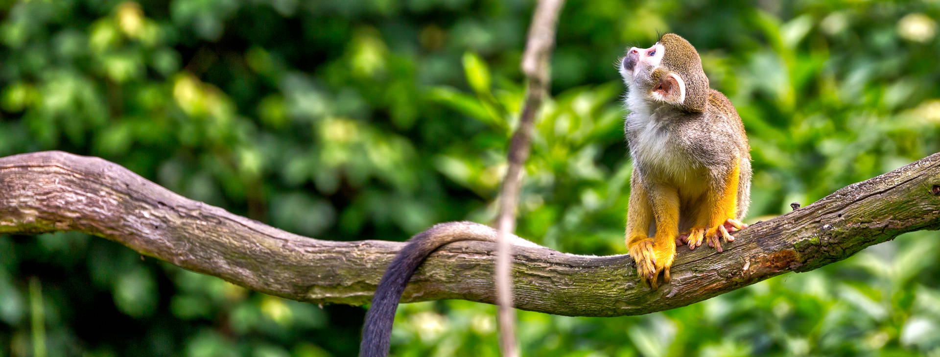 Ubytování KML Obrázek25