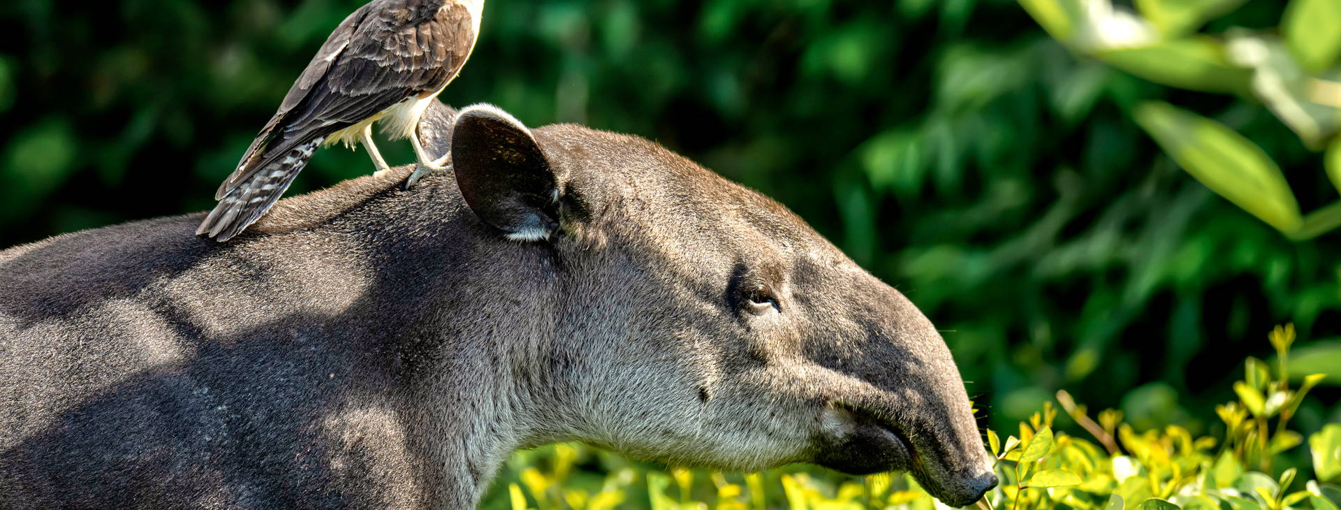 Ubytování KML Obrázek10