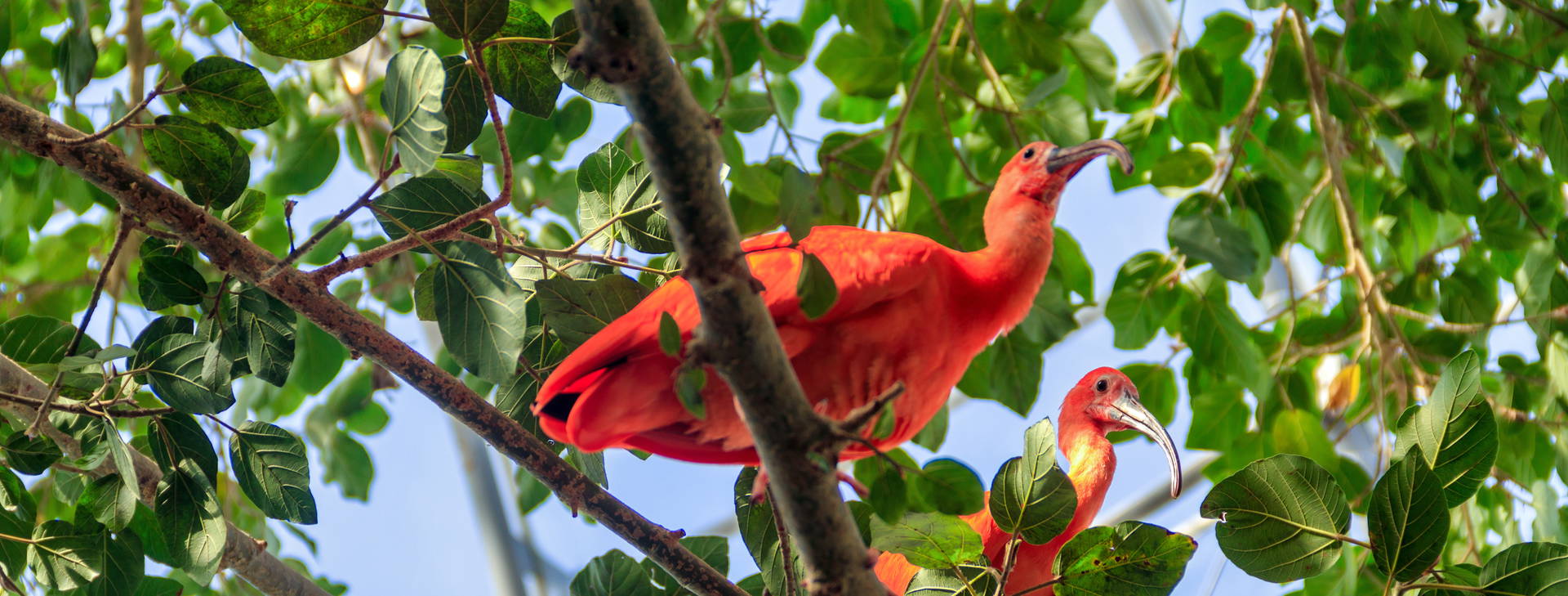 Ubytování KML Obrázek24