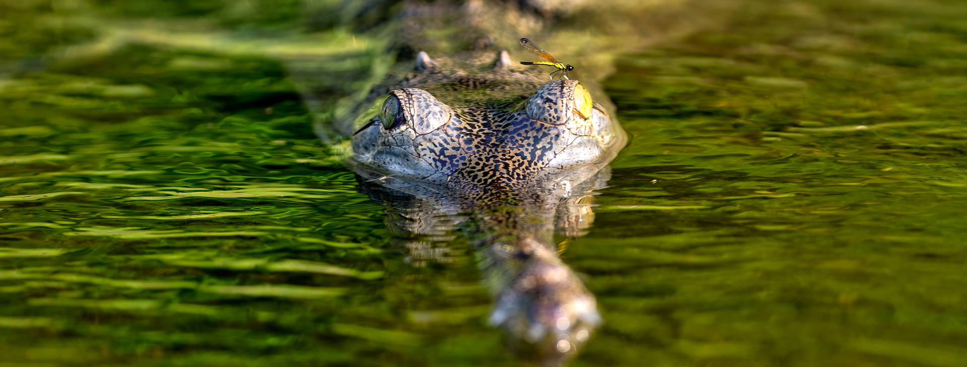Ubytování INB Obrázek8