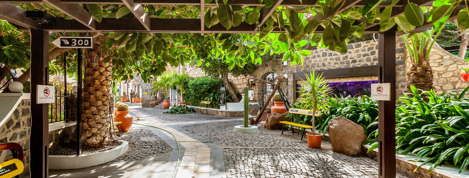 Odjo d'Agua  Obrázek13