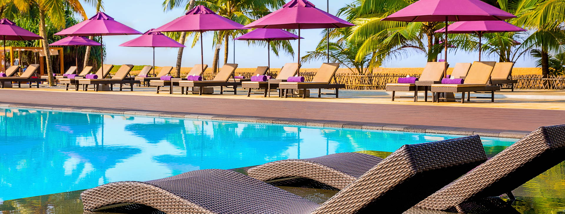 Avani Kaluthara  Obrázek1