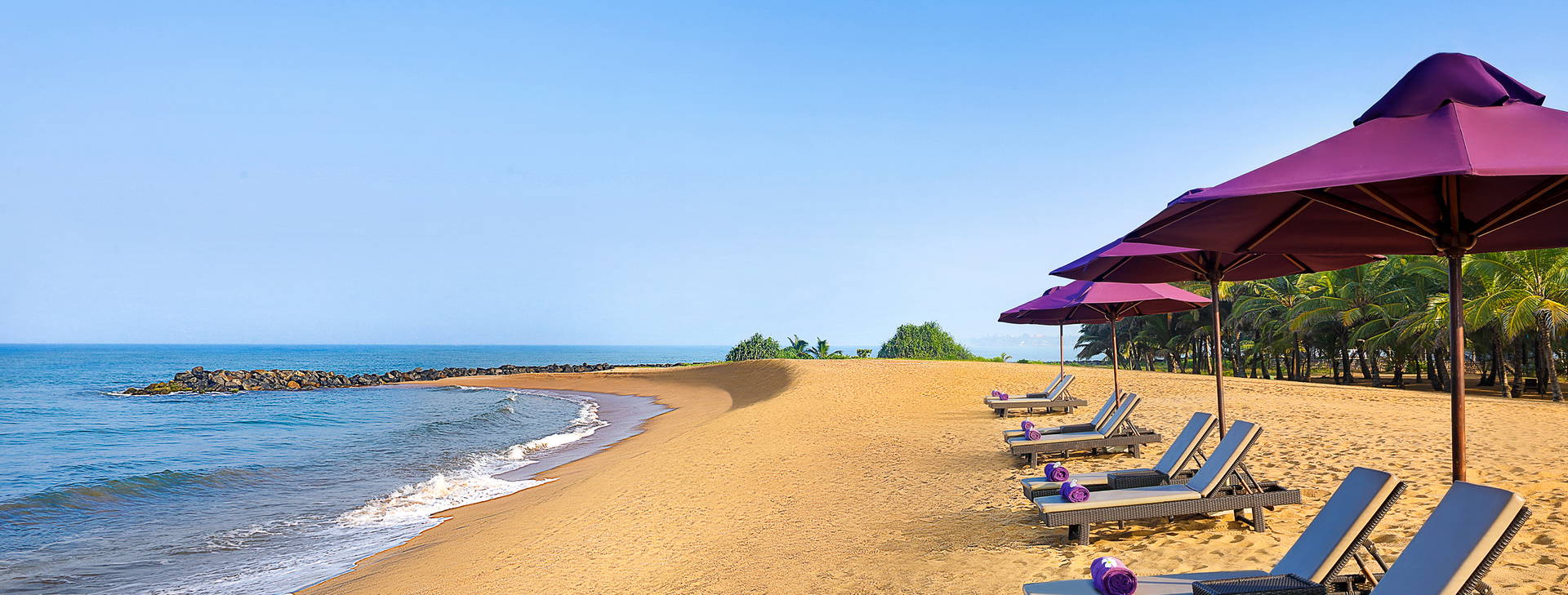 Avani Kaluthara  Obrázek9