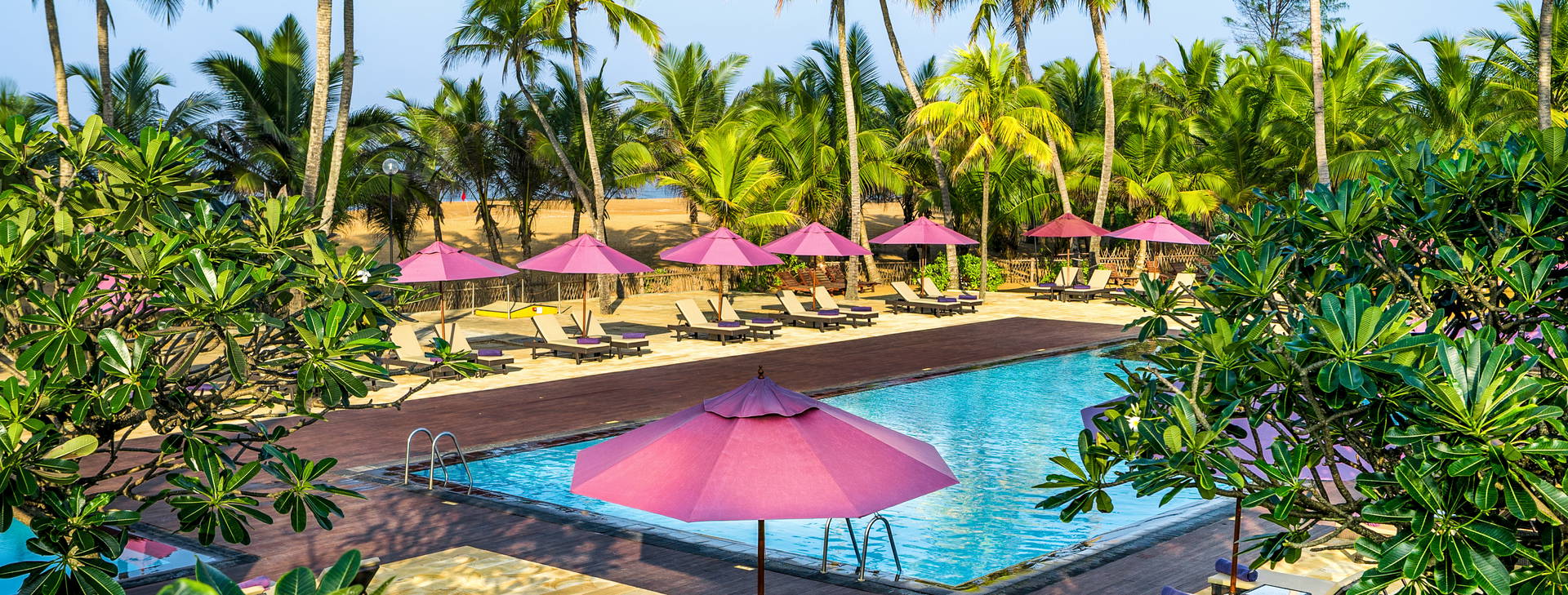 Avani Kaluthara  Obrázek3