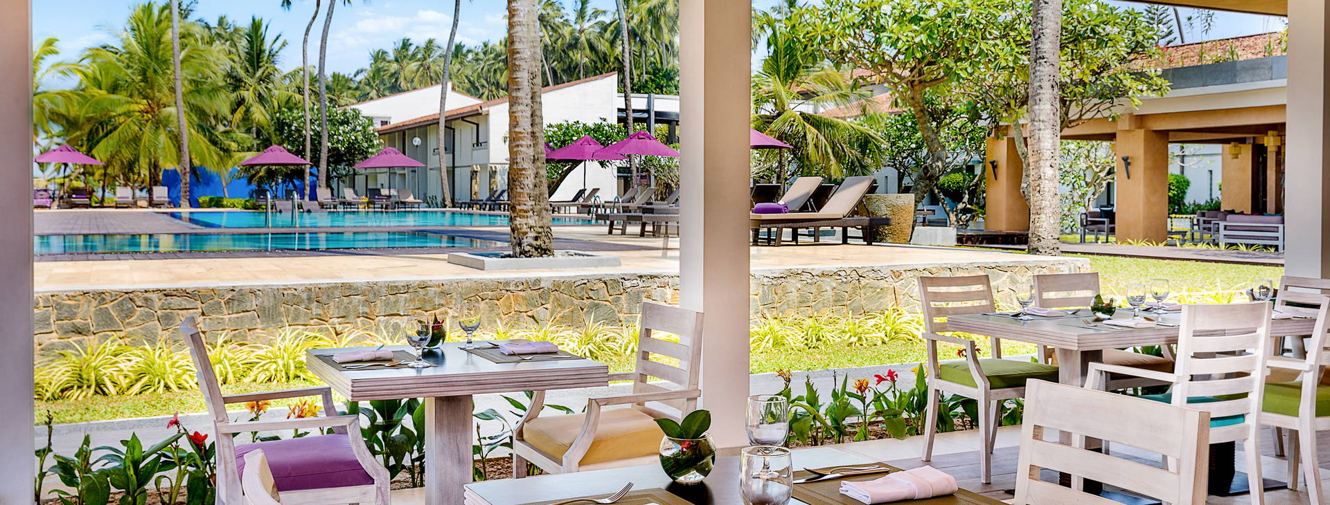 Avani Kaluthara  Obrázek23