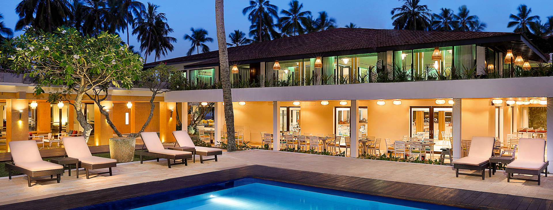 Avani Kaluthara  Obrázek2