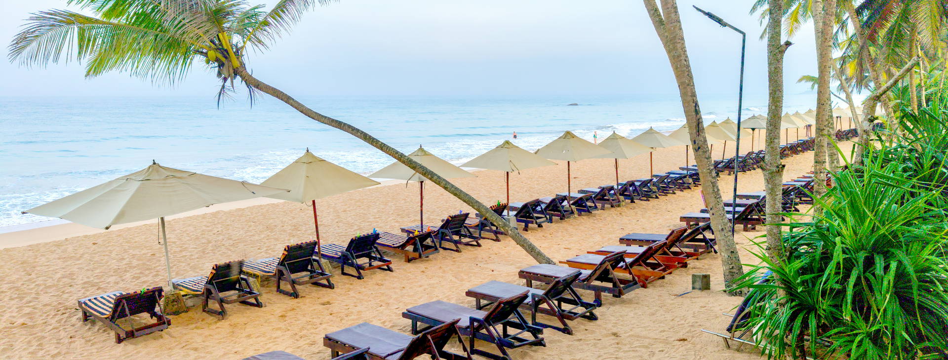 Pandanus Beach Obrázek16