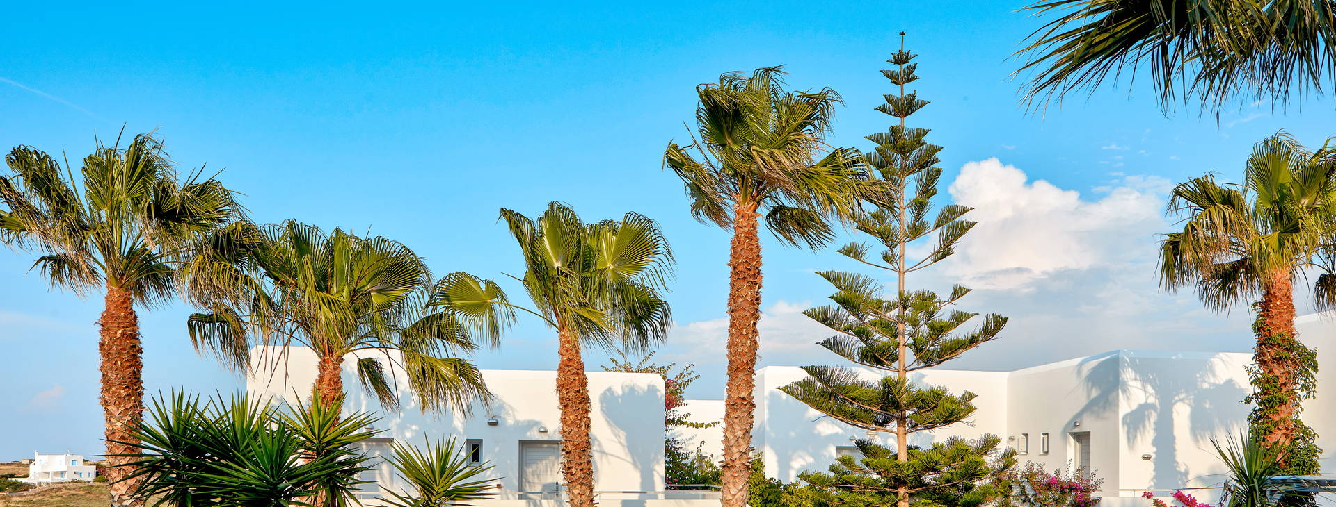 Mr & Mrs White Hotel Obrázek2