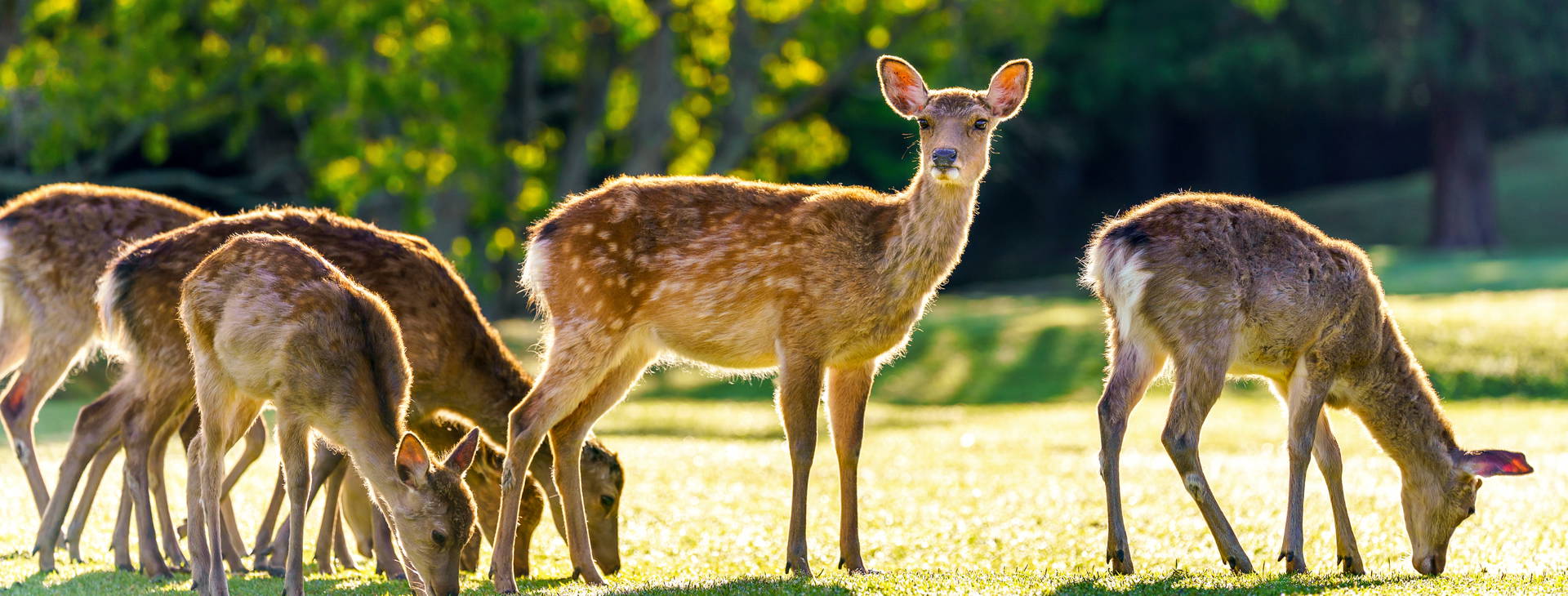 Ubytování JPO Obrázek19