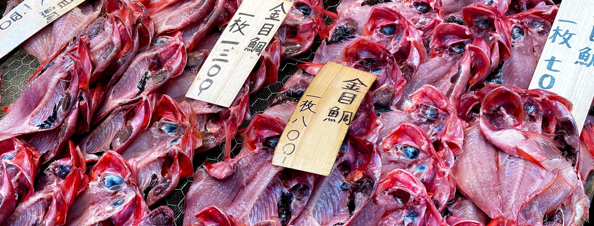 Ubytování JPO Obrázek37