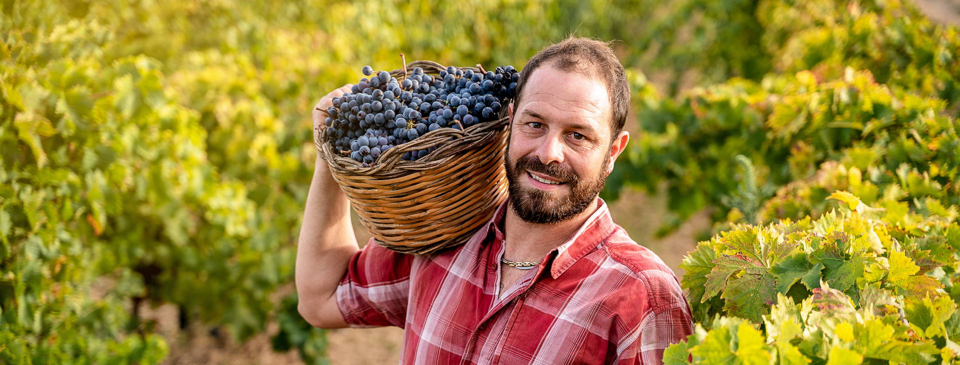 Ubytování STZ Obrázek15