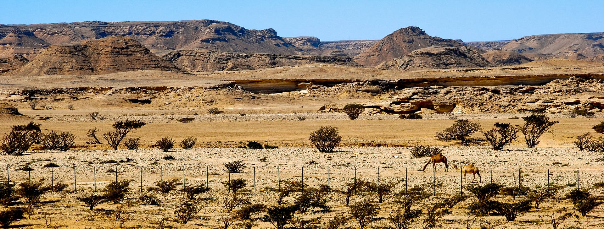 Ubytování OMG Obrázek11