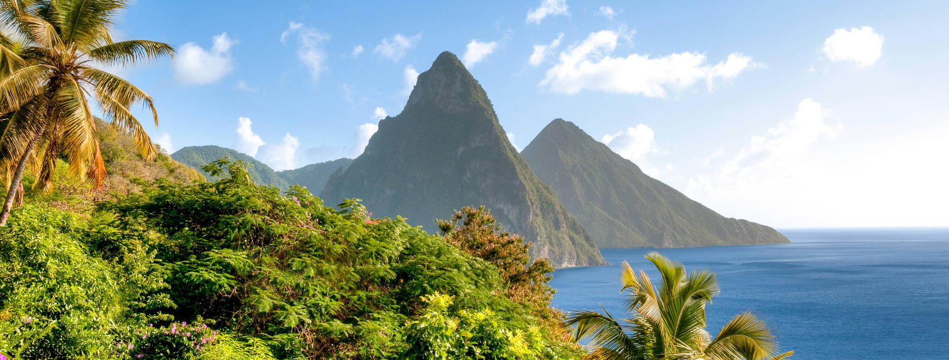 Bay Gardens Marina Haven Obrázek3