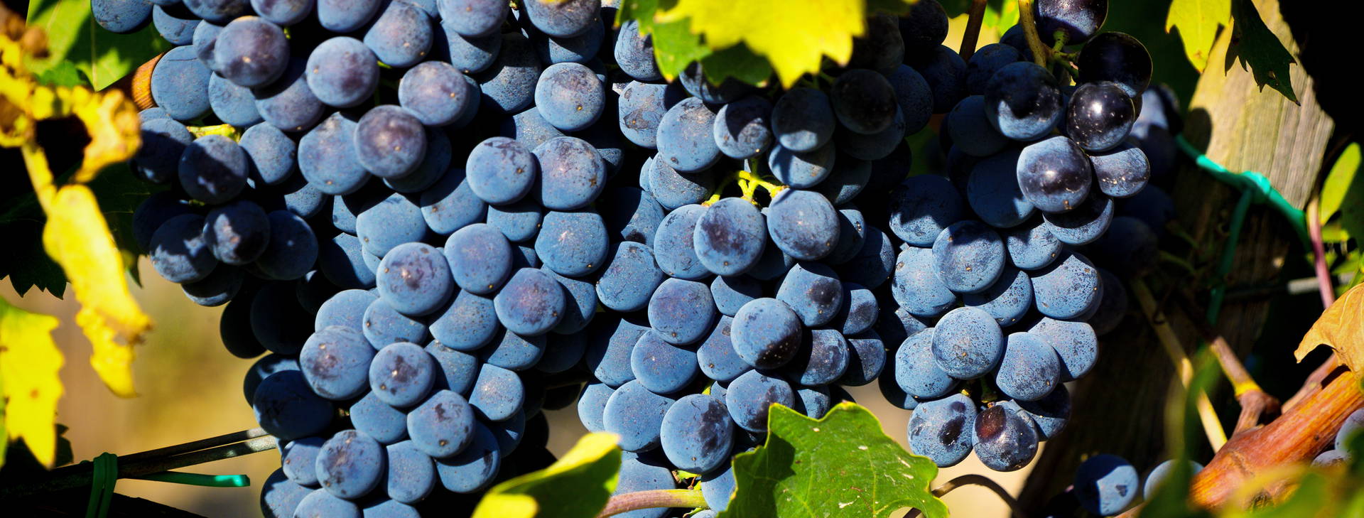 Ubytování WTN - Léto Obrázek5