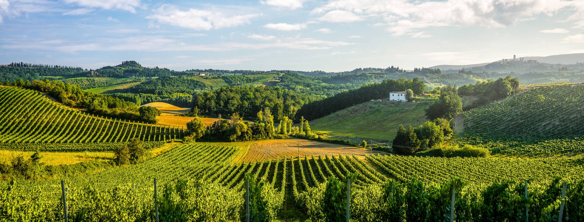 Ubytování WTN - Léto Obrázek22