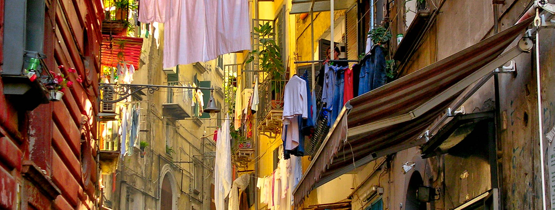 Ubytování WIP - Léto Obrázek20