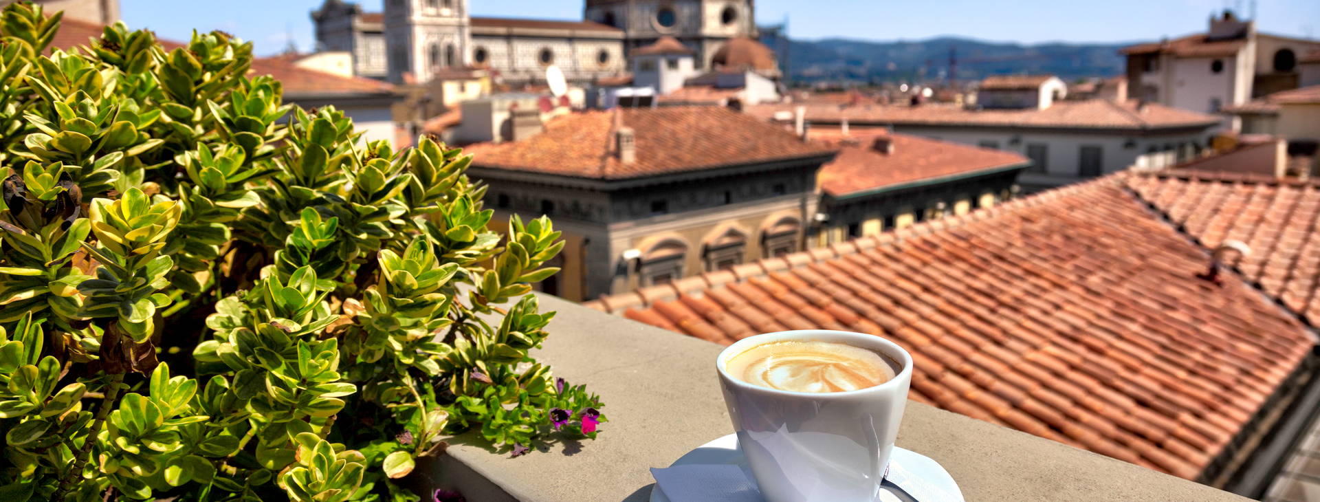 Ubytování WIP - Léto Obrázek2