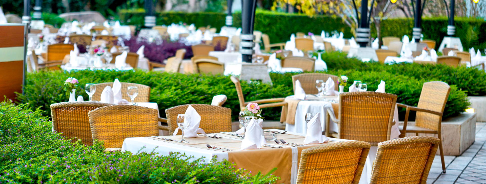 Limak Arcadia Sport&Resort Obrázek23