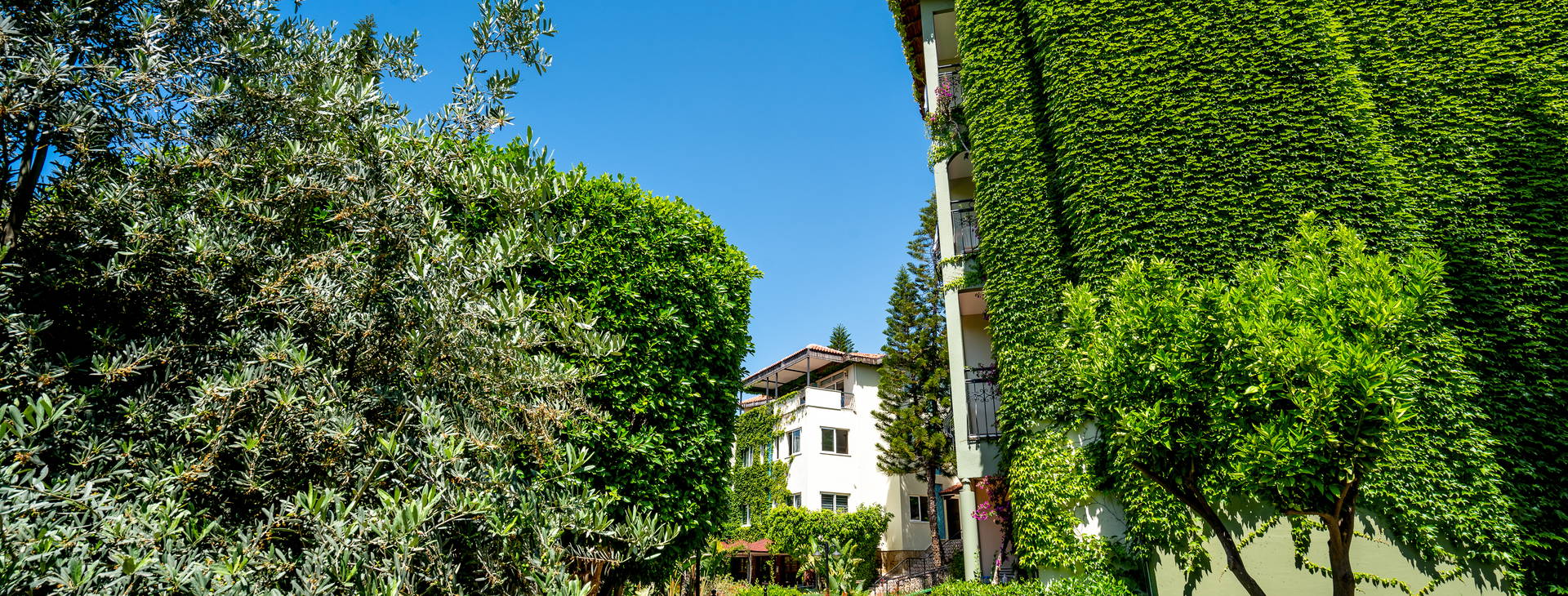 Gardenia Beach Hotel Obrázek40