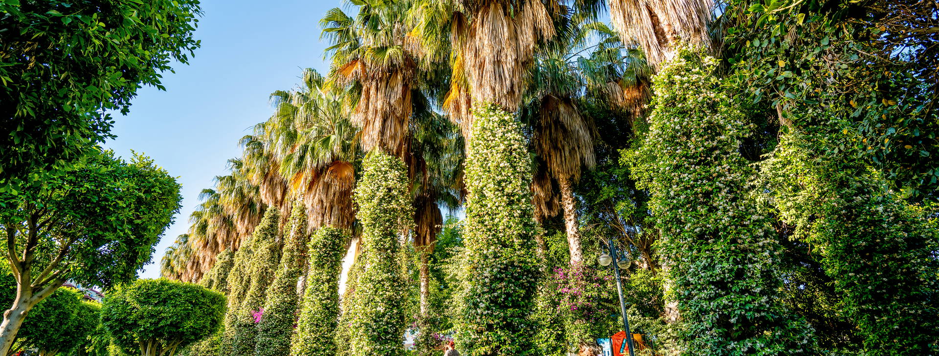 Gardenia Beach Hotel Obrázek41