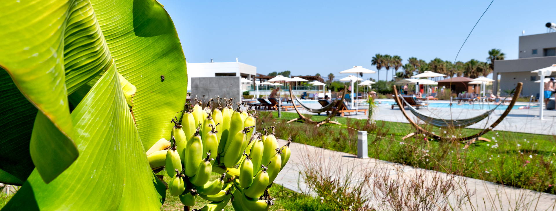 Lambi Resort Obrázek30