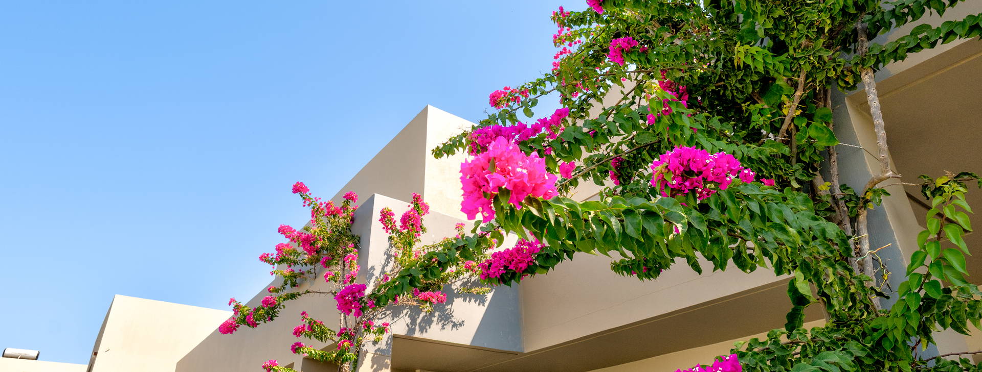 Lambi Resort Obrázek28