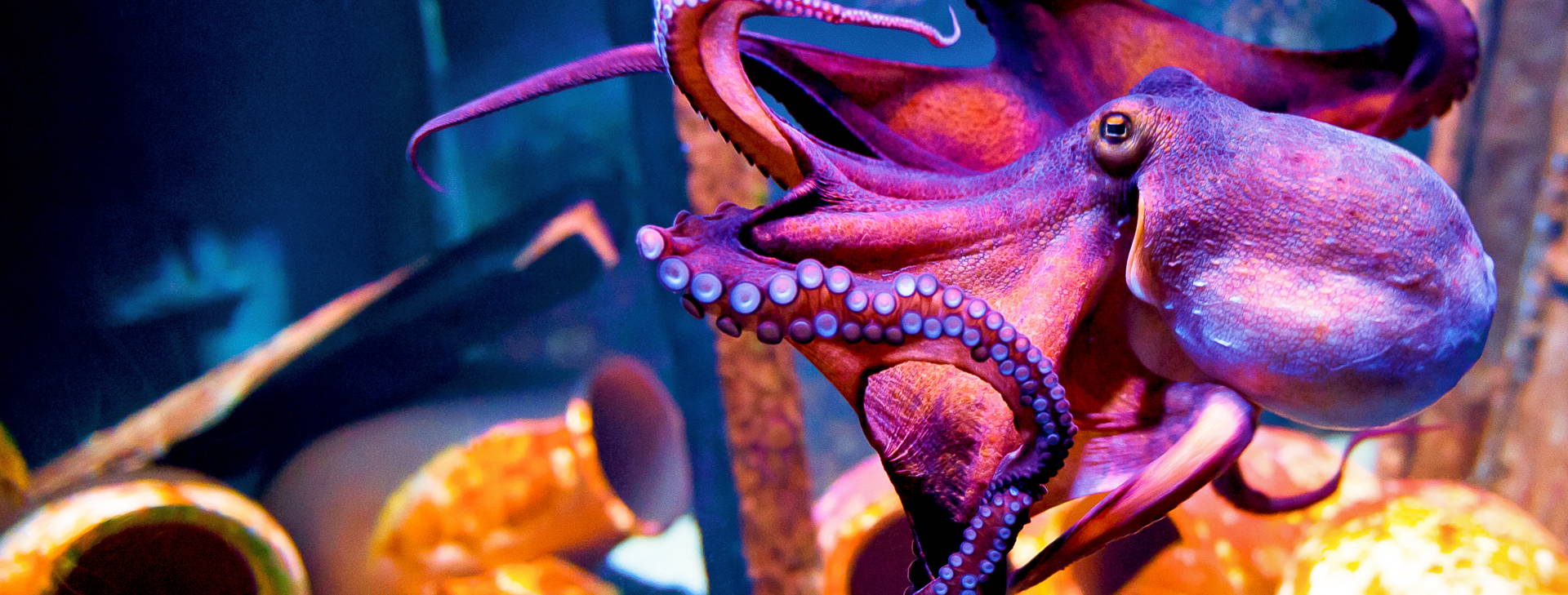 Ubytování DDC Obrázek6