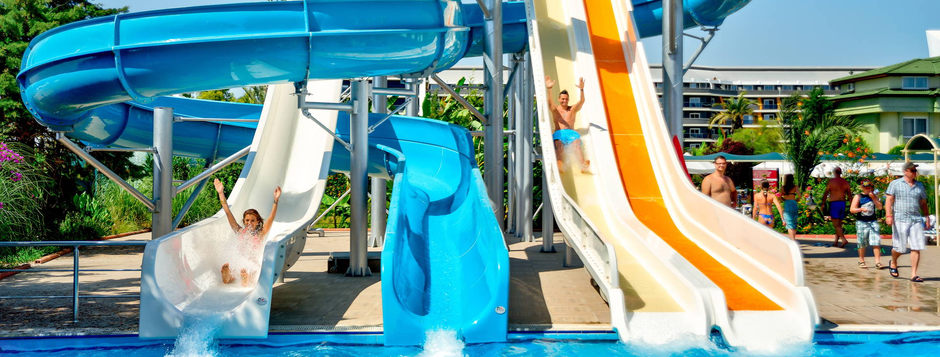 Aydinbey Gold Dreams Obrázek0