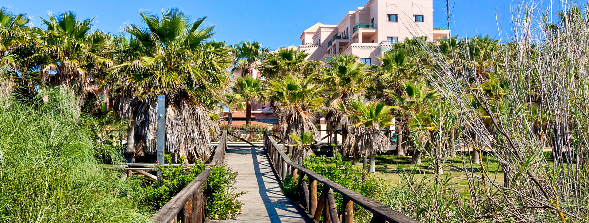 Playacanela Obrázek45