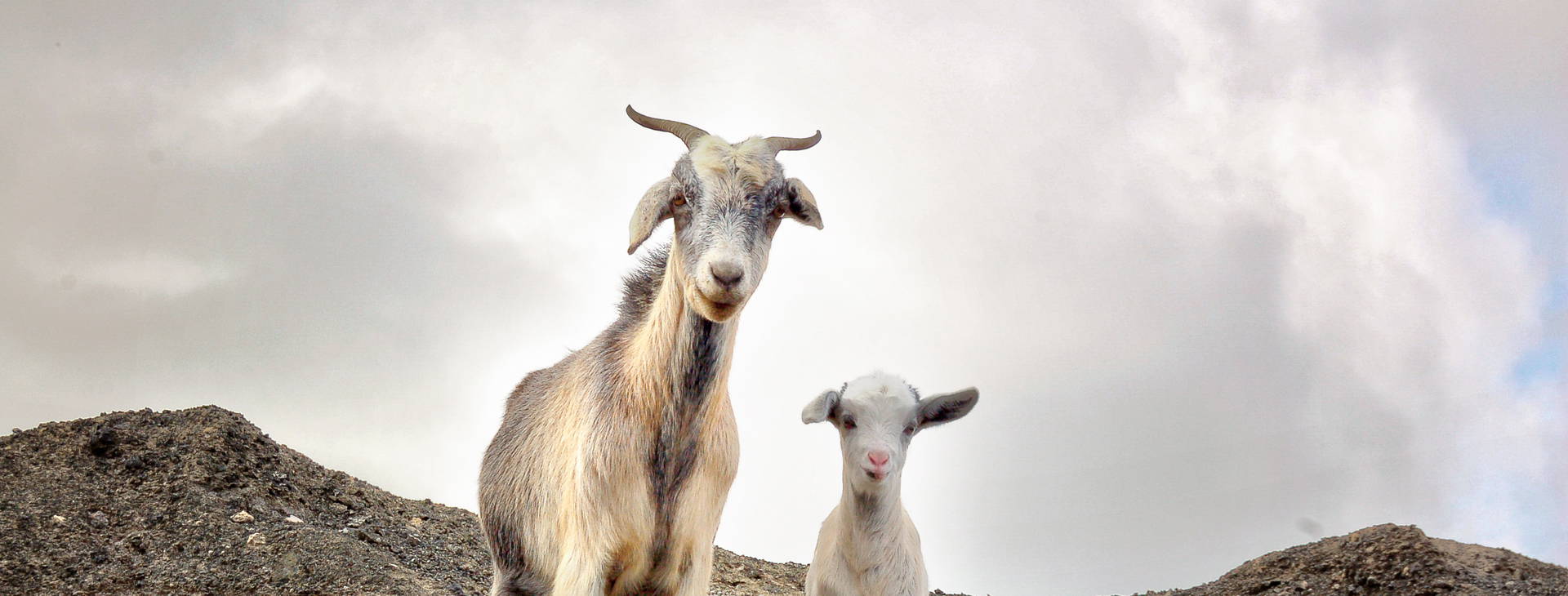 Ubytování FAL Obrázek2