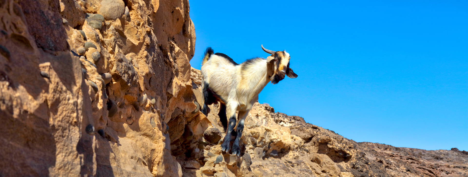 Ubytování FAL Obrázek4