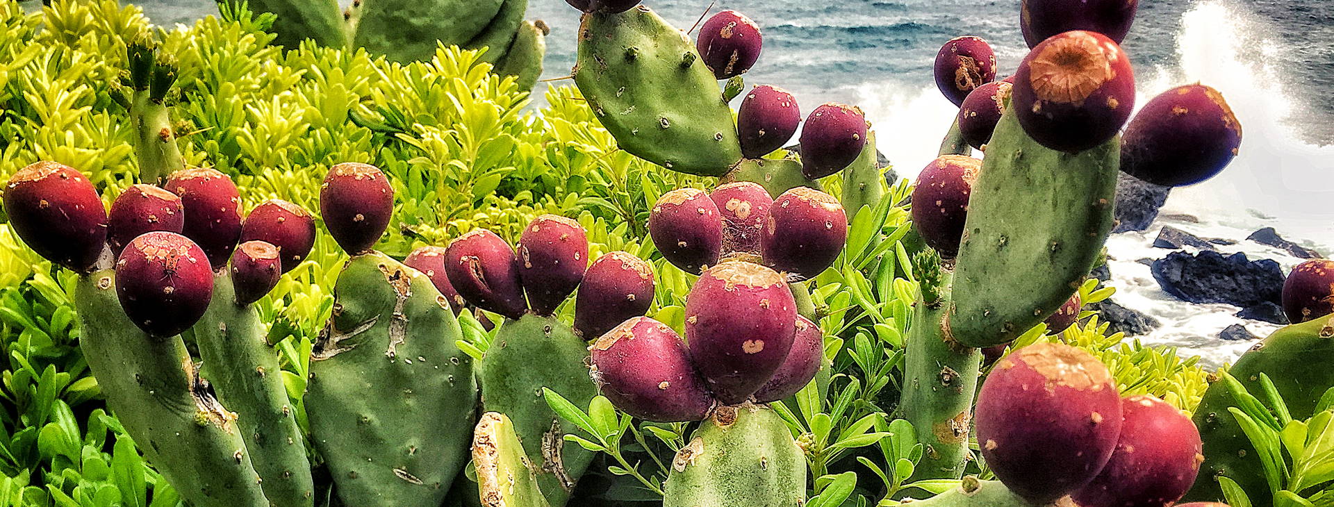 Ubytování FAL Obrázek7