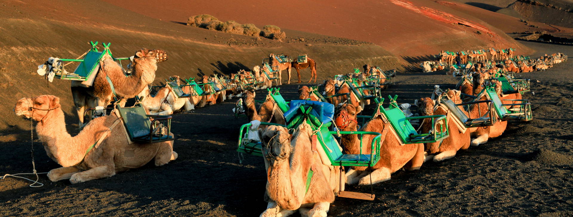 Ubytování FAL Obrázek15